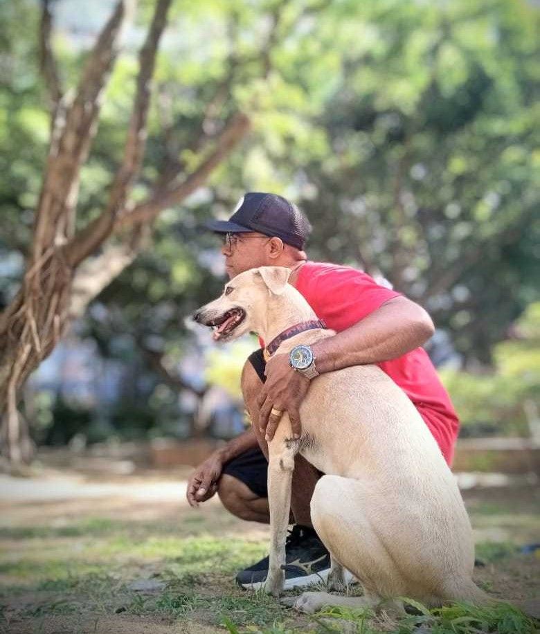 Adestrador da EquilibraCão com um cão no parque