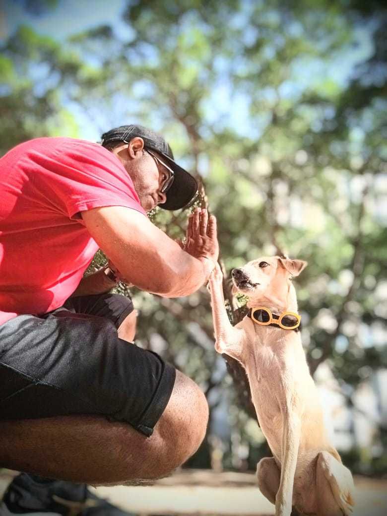 Adestrador da EquilibraCão com um cão
