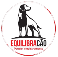 EquilibraCão - Rio de Janeiro